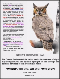 The Great Horned Owl