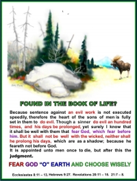 FOUND IN THE BOOK OF LIFE?