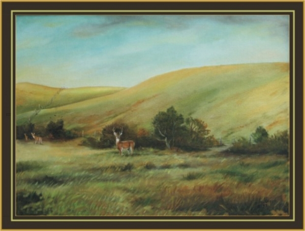 DAKOTA HILLS OIL