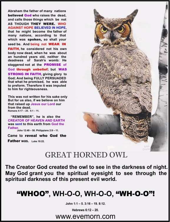 The Great Horned Owl