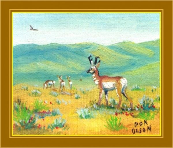 THE PRONGHORN FAMILY oil