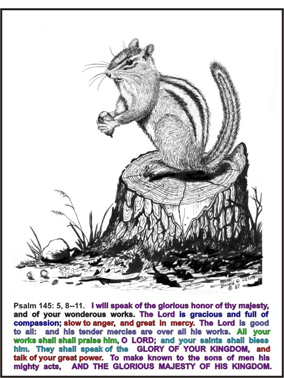 CHIPMUNK PEN & INK