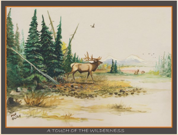 A TOUCH OF WILDERNESS ELK