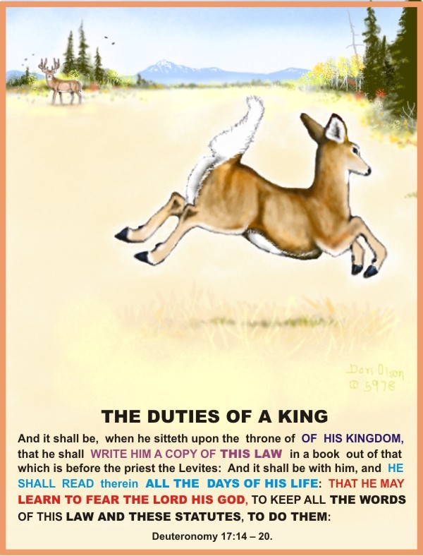 DUTIES OF A KING