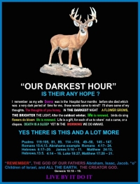 Our Darkest Hour