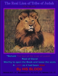 The Real Lion of The Tribe of Judah