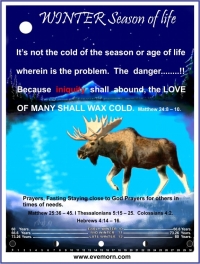 Moose Winter Season