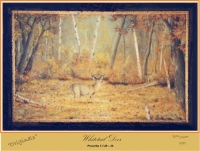 Whitetail Deer