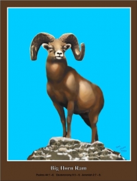 Big Horn Ram