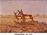 THE PRAIRIE PRONGHORN 1973 OIL