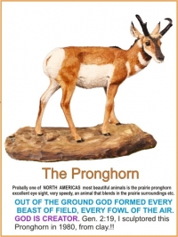 THE PRONGHORN SCULPTOR 1980