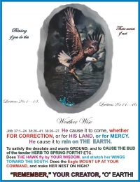 THE BLESSINGS AND CURSES
