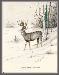 WINTER MORNING MULE DEER