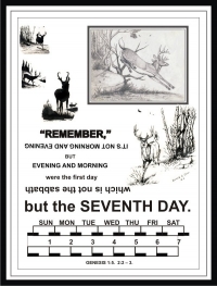 REMEMBER THE CREATOR GOD