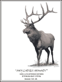 BULL ELK