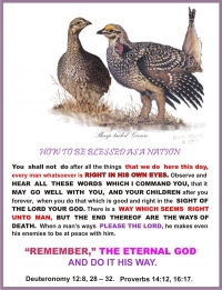 HOW TO BE BLESSED AS A NATION