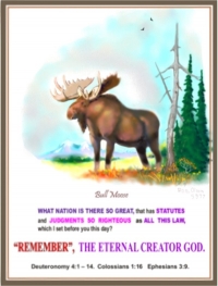 MOOSE