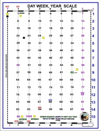 1st DAY YEAR LEAP SCALE