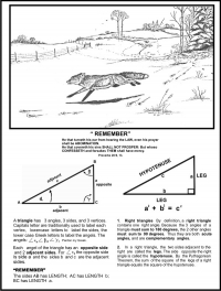 Studying the Function of Angles