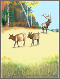 Elk Painting