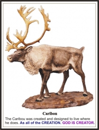 Caribou Sculpture 1975